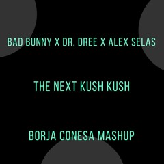 Bad Bunny X Farruko X Dr. Dree X Alex Selas  - The Next Kush Kush (Borja Conesa Mashup)95-124 BPM