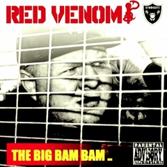 REDVENOM . THE BIG BAM BAM (FREEDOWNLOAD.)