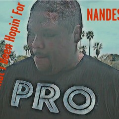Nandes-What I Been Hopin For