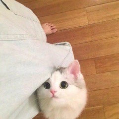 Con Đường Tình Yêu - Bùi Anh Tuấn