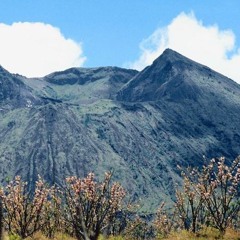 Gang Gang🤘🤘💯💯