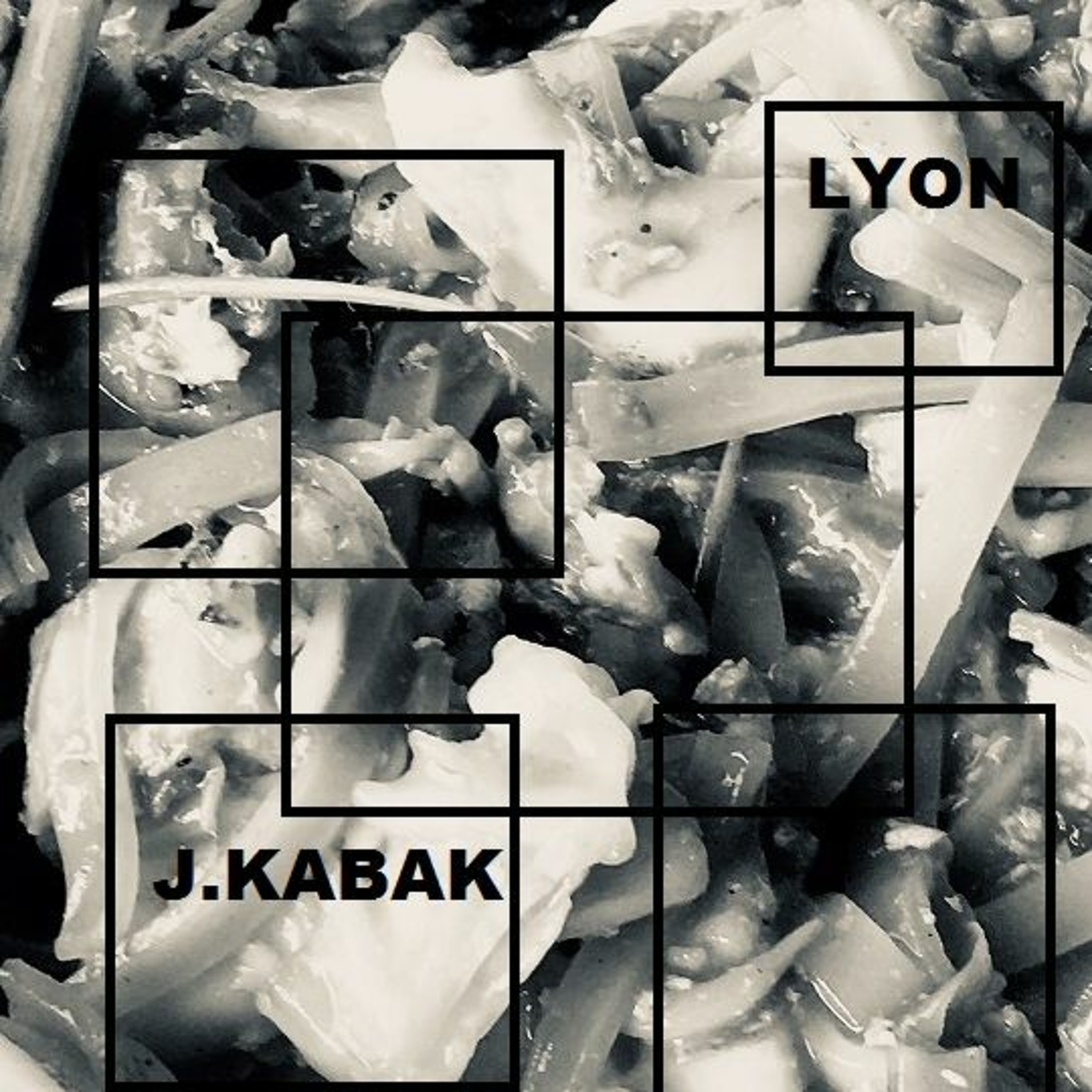 LYON episode artwork