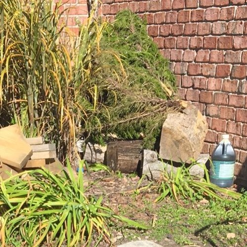 Otesla - Deserts (NEWSENSEi Version) free DL