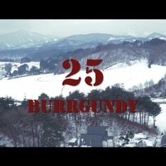 25  - 버건디 (Burrgundy)