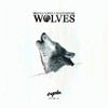Selena Gomez X Marshmello Wolves Cupla Remix Mp3