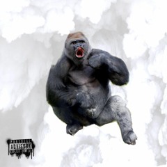 Gorilla Freestyle - Ty Benjis X Li' Rippa X DV Living Legend