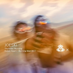 Joeski - Robot Heart 10 Year Anniversary - Burning Man 2017