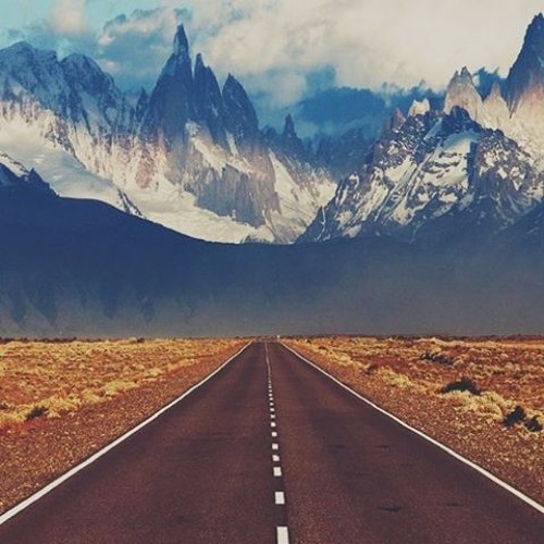 🌵 El Camino # IV 🌵