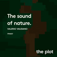 Valerio Vaudano - Flying On A Pink Flamingo