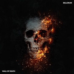 Wall Of Death