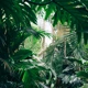 In The Jungle(Original Mix) thumbnail
