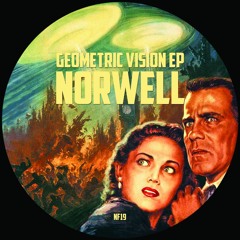 PREMIERE : Norwell - Geometric Vision
