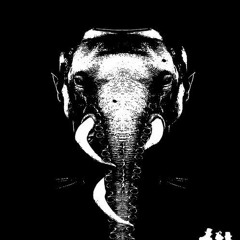 Christian Craken - The Elephant (Occer Remix) Preview