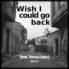 ANICC - Wish I could go back [feat. Tereza Delzz]