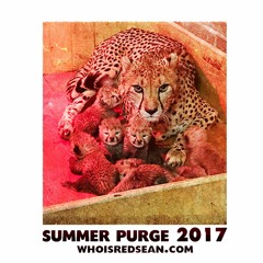 Summer Purge 2k17
