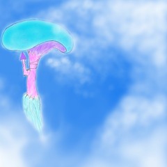 Where her story took me