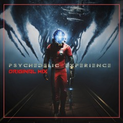 Psychedelic Experience