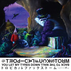 TFS - You Let My Tyres Down