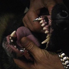 Aggressive (ft. CEO Brisco)