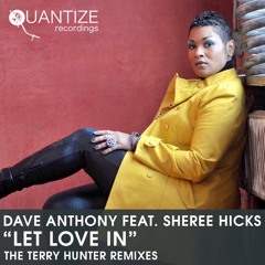 DAVE ANTHONY FEAT. SHEREE HICKS -LET LOVE IN (TERRY HUNTER REMIX SNIPPET)