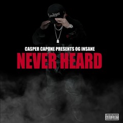 NEVER HEARD - INSANE