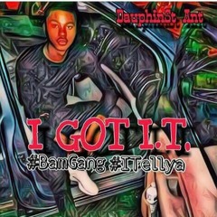 Dauphin Street Ant - I GOT IT