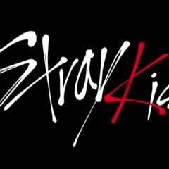 Stray Kids [Mixtape] Full Album Pre-debut