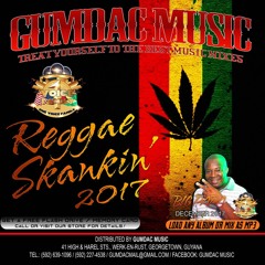 ONE VOICE FAMILY REGGAE SKANKIN MIX 2017-2018