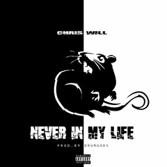 NEVER IN MY LIFE prod. by DRUMGODS