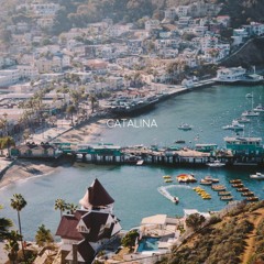 Travis Scott Type Beat - "Catalina" (Prod. Ill Instrumentals)