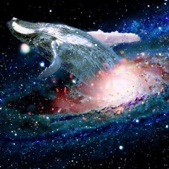 The Cosmic Whale