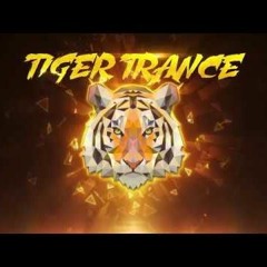Tiger Trance ( 2k18 New Mix ) By DJ ANIL