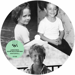 Lunar Disco, Sucré Salé & Raw Main - Make It Beautiful (snippet)