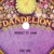 Artwork for Dandelion Records