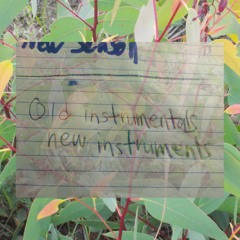 instrumentals