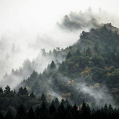 Symphony Of Darkness