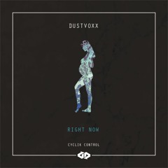 Dustvoxx - Right Now