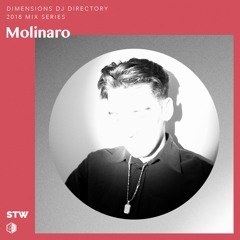 Molinaro - DJ Directory Mix