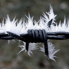 I Wanna Love You [DJ  Veneno666 'Funk' Edit]