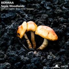 Benwaa - Sepia Woodlands (Drew Miller Remix)