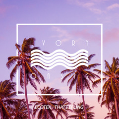 Ecotek - That Feeling