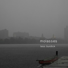 Molasses