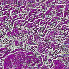 Doin It (prod. Hooch McAllister)