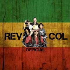 Revolution Colour(Revcol)-D3S3