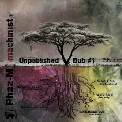 5.Echo6theme (feat Kady at mélodica and Danakil Vocal Remix)