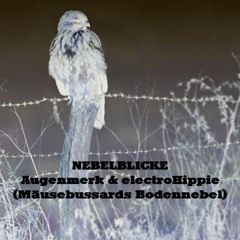NEBELBLICKE - Augenmerk & electroHippie (Mäusebussards Bodennebel)