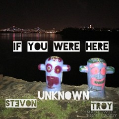 If You Were Here ft. Stevon, Troy