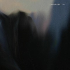 Bird Noire - Give You Everything