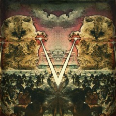The Conscious Cats - Prophecy