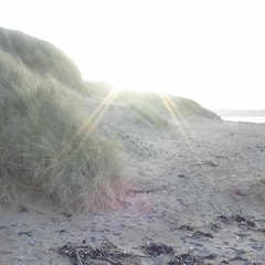 Wind